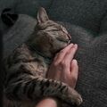 Diese liebe????????diese Berührung vermisse ich ????????