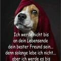Gerne wäre mit dir gegangen!