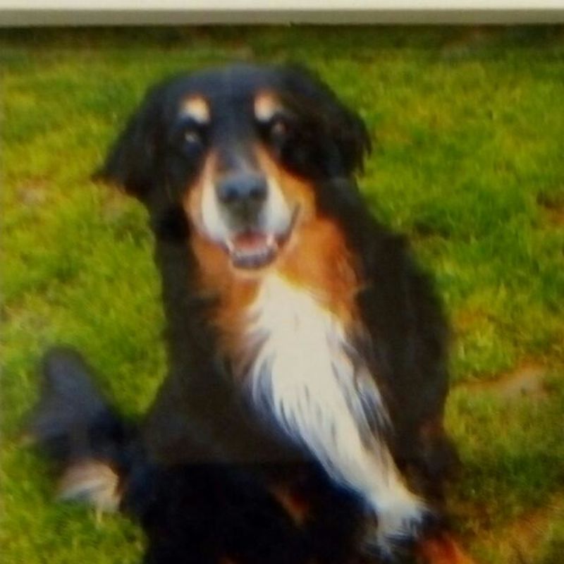 Winty Als ICH die Hand eines Menschen brauchte, reichte mir jemand