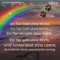Dem Auge so fern, dem Herzen ewig nah ♡BEBI ♡
