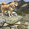 Mein König der Berge ????