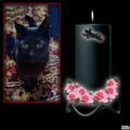 Blacky ❤ für immer geliebt & schmerzlich vermisst 