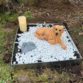 Ewige Ruhe auf seinem Lieblingsplatz im Garten.Ich vermisse ihn.