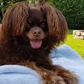 Das ist unser Diego