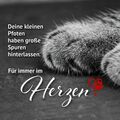 Er hätte es bei euch nicht schöner haben können!????????‍⬛