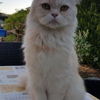 Unser Schatz Jerry