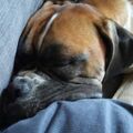 Tucker und "Bruder"