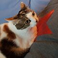 Meine liebe Trixi
2008  - 6. Dez. 2023