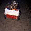 Andy mit seinem Bruder

Ricky