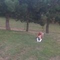 Bei mir auf der Wiese 