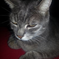 Immer alles im Blick