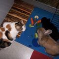 Meine liebe Trixi mit ihren Freunden Schmittchen und Erika