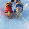 You loved our walkies in the snow.