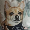 Mein für immer vermisster Herz-König ☆♡JIMMY ♡☆
