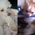 ♥️Snowy ❤️Shila ❤️