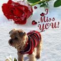 ❤❤❤