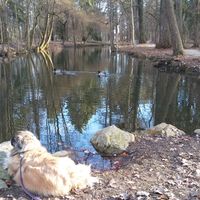 Die Natur geniesen
