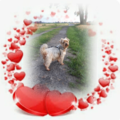 Unser lieber Jacki❤
