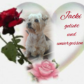 Unser lieber Jacki❤️ 