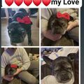 Best Meggmaus miss you aber toll,daß ihr alle vereint seid im Re