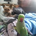 Jetzt ist Chico auch bei dir mein kleiner Schatz 
