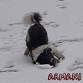 Der kleine Mann liebte den Schnee...