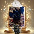 Blacky ❤ für immer geliebt & schmerzlich vermisst 