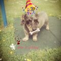 Happy Birthday mein Engel. 