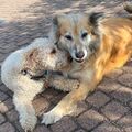 Unser doppelltes Lottchen