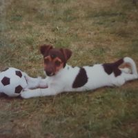 Maxi ihr erster Urlaub mit ihrem ersten Spielzeug.