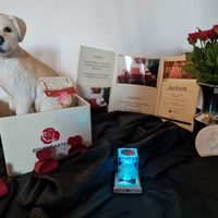 Danke, liebes Rosengarten Team für die liebevolle Übergabe.