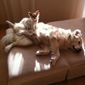 für Shila und Pat