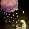 Gute Reise kleiner Schatz ♥️⭐♥️