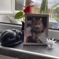Wieder daheim, für alle Zeit ❤️