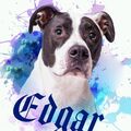 Edgar