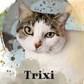 Meine liebe Trixi
2008  -  6.12.2023
immer im Herzen