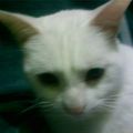 Aaron
01.09.2010 - 30.04.2019