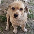 Gina 16.Jahre ist sie geworden.
am 25.11.20 verst.