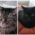 2009-2023/2009-2025