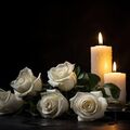 Zum Gedenken an die liebe Fellnase Theo ♥️⭐♥️