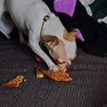 Sie liebte Pizza <3