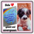 Für Regina ♥️