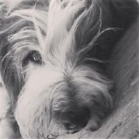 Ich vermisse dich mein Schatz ????
