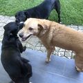 Mit deinen Freundinnen Coco und Sanny