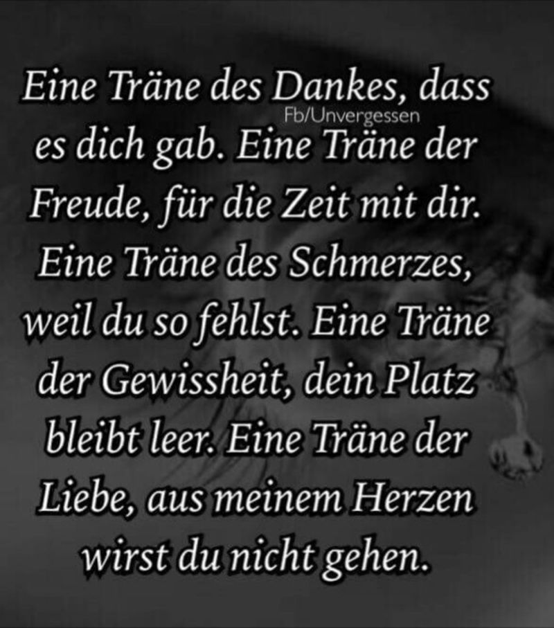 Ivy Du Fehlst So Schmerzhaft