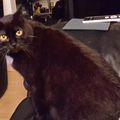 Ich auf der Couch! Wahnsinn, oder?
