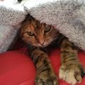 ♥️ Pauline mein Ein und Alles ♥️