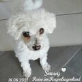 SnowyFell@outlook.de 