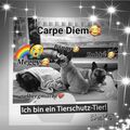Wenn der Abend kommt ist es besonders schwer for ever by my side