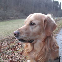 Spike für immer im Herzen